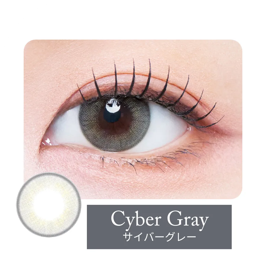 サイバーグレー装用例