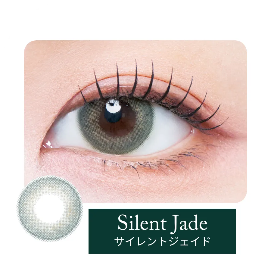 サイレントジェイド装用例