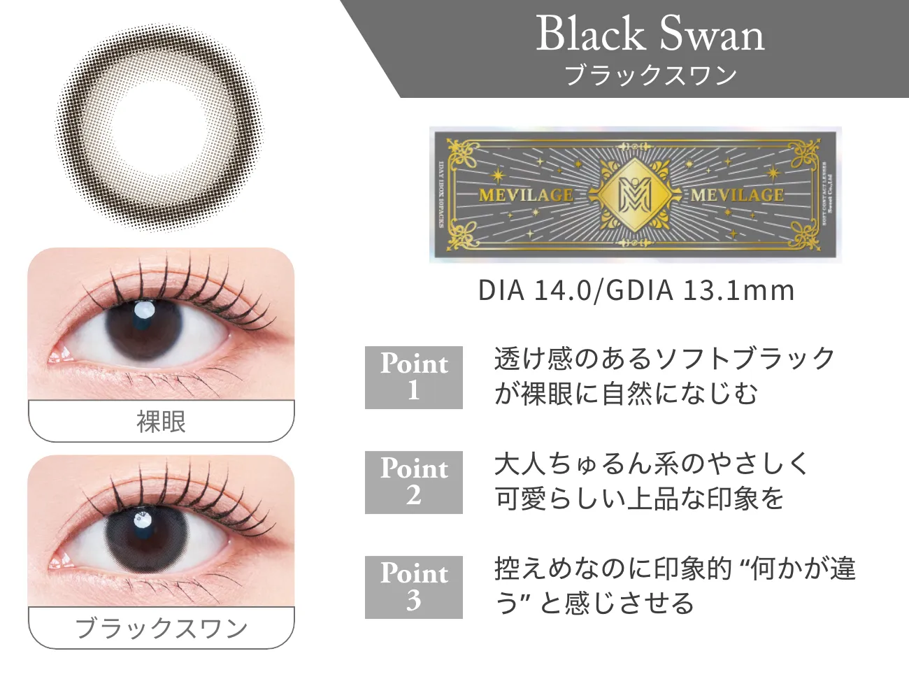 ブラックスワン 詳細