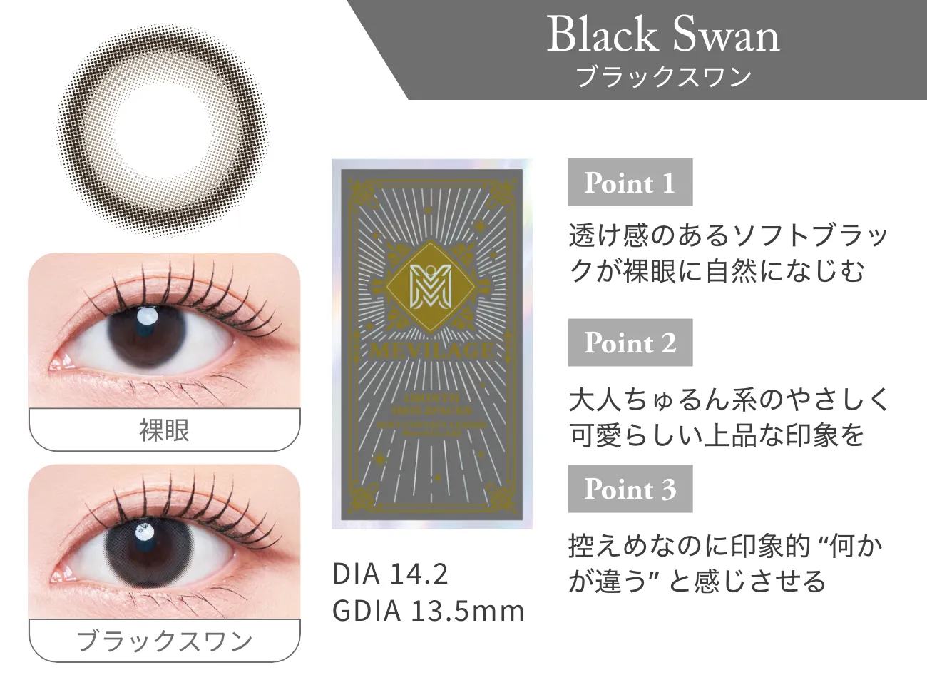 ブラックスワン 詳細