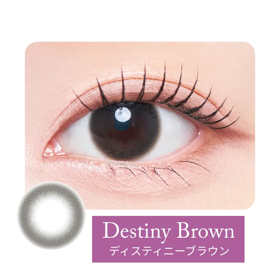 ディステニーブラウン装用例