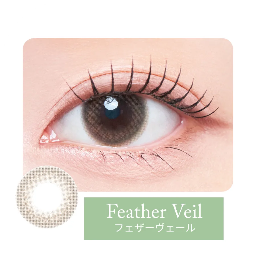 フェザーヴェール装用例