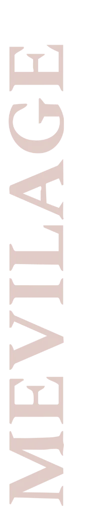 MEVILAGE