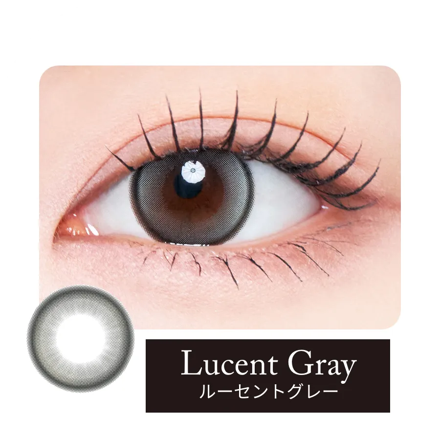 ルーセントグレー装用例