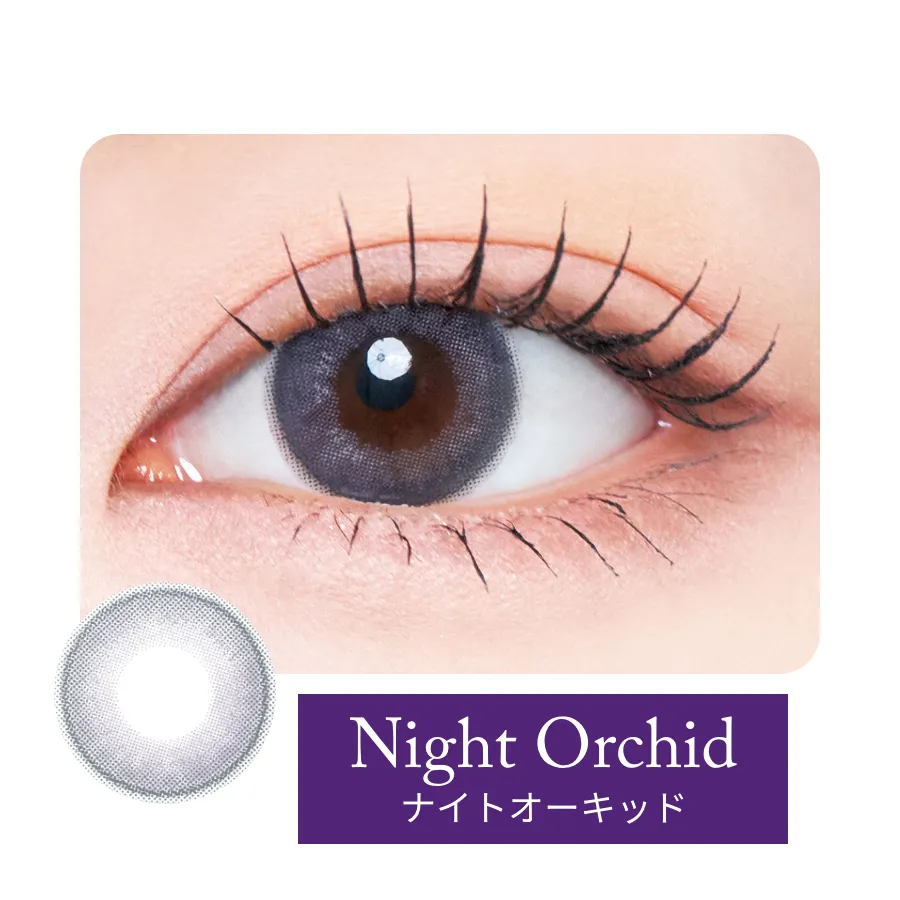 ナイトオーキッド装用例