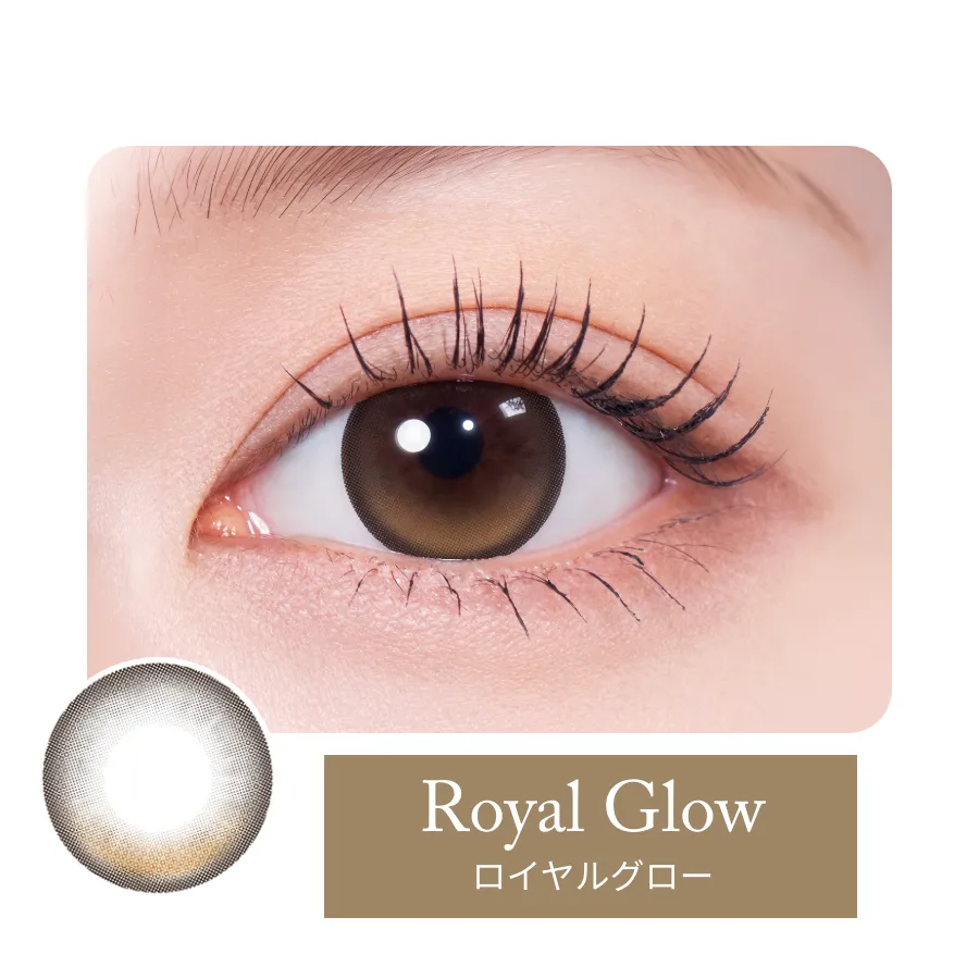 ロイヤルグロー装用例