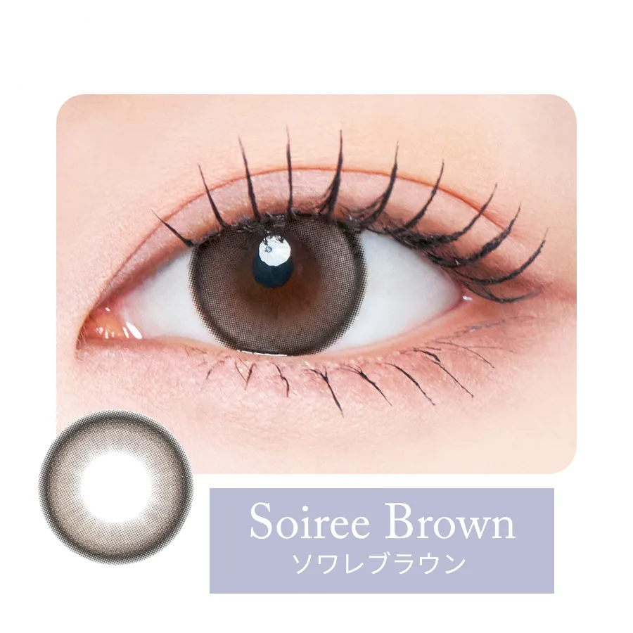 ソワレブラウン装用例