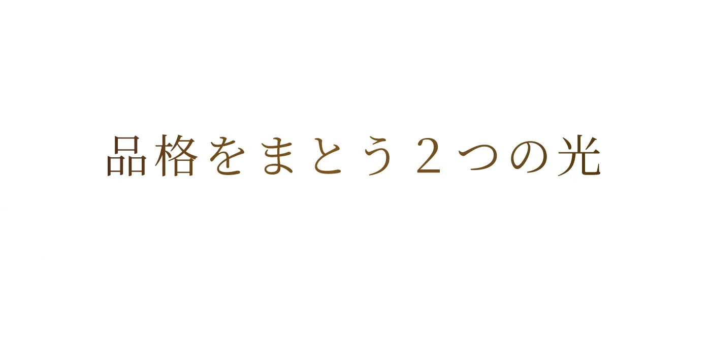 品格をまとう2つの光